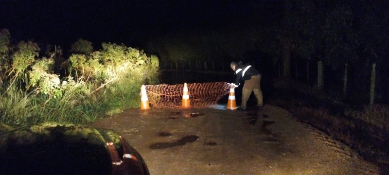 Foto 3410d579e9fc64e89edc4970d03404e9-07-05-2023-160000jpg